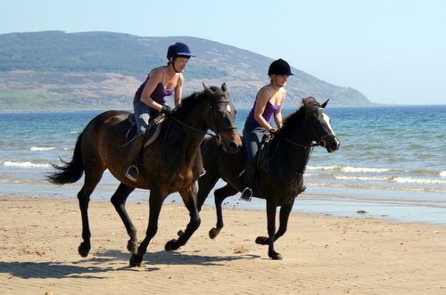 Cairnhouse Stables, Isle of Arran